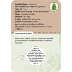 Moses Verlag EXPEDITION NATUR 50 HEIMISCHE BÄUME Reisespiel NOPUBLISHER 5 Moses Verlag EXPEDITION NATUR 50 HEIMISCHE BÄUME Reisespiel NOPUBLISHER -Outdoor-Sportgeschäft 258786 c 50 heimische baeume