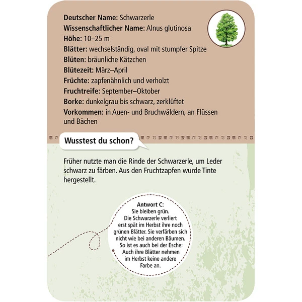 Moses Verlag EXPEDITION NATUR 50 HEIMISCHE BÄUME Reisespiel NOPUBLISHER 3 Moses Verlag EXPEDITION NATUR 50 HEIMISCHE BÄUME Reisespiel NOPUBLISHER – Bild 3