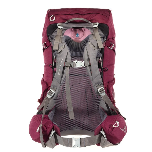 Osprey RENN 50 Damen Trekkingrucksack Damen AURORA PURPLE 3 Osprey RENN 50 Damen Trekkingrucksack Damen AURORA PURPLE – Bild 3