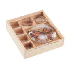 Kikkerland HUCKLEBERRY MY LITTLE MUSEUM Spielzeug NOCOLOR