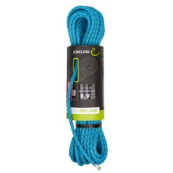Edelrid SWIFT 48 PRO DRY 8,9MM Kletterseil ICEMINT