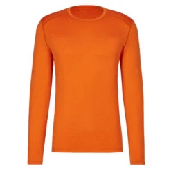 Icebreaker M MERINO 260 TECH LS CREWE Herren Funktionsshirt EARTH