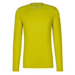 Icebreaker M MERINO 200 OASIS LS CREWE Herren Funktionsshirt BIO LIME